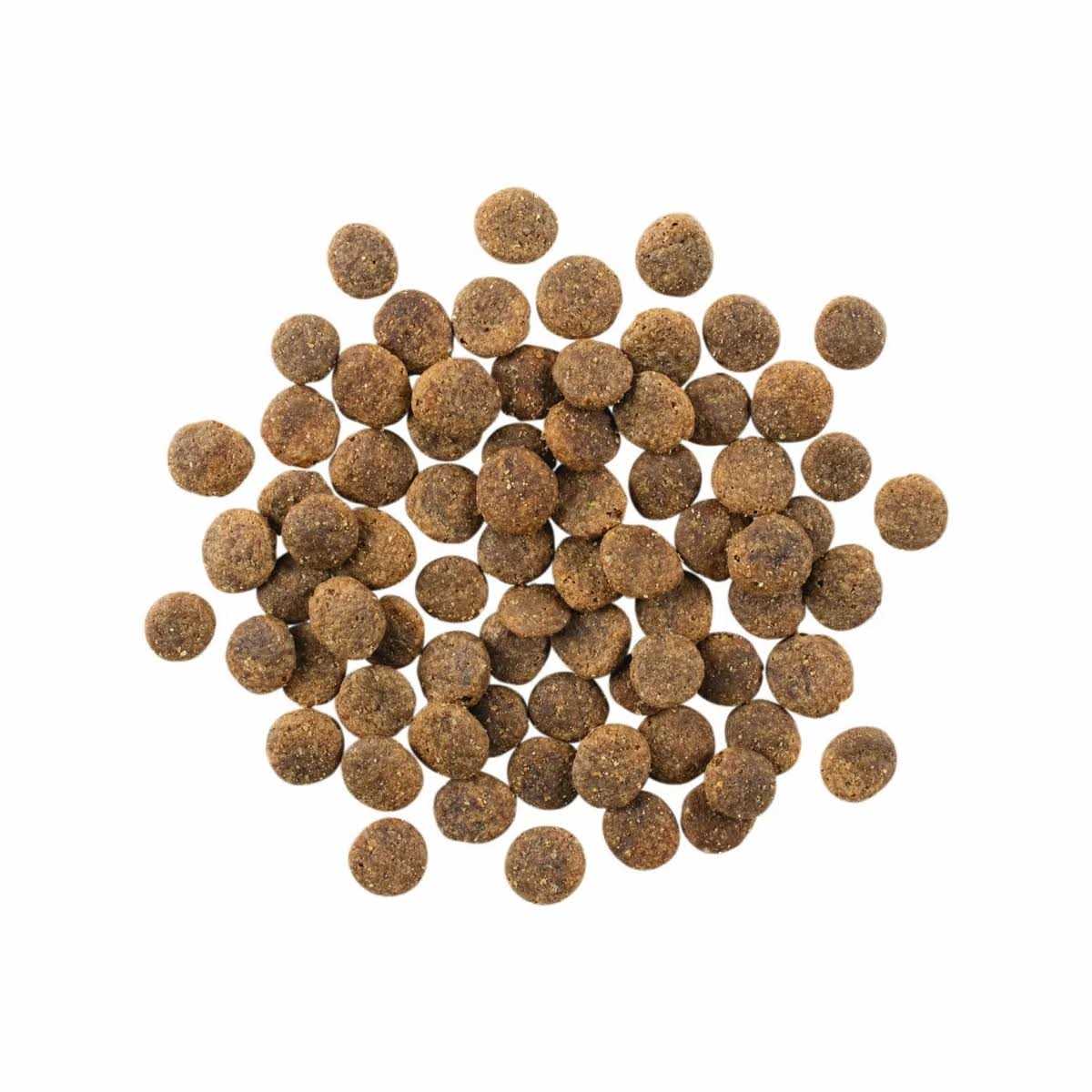 Limited Ingredient Lamb Grain-Free Dry Dog Food Y4462