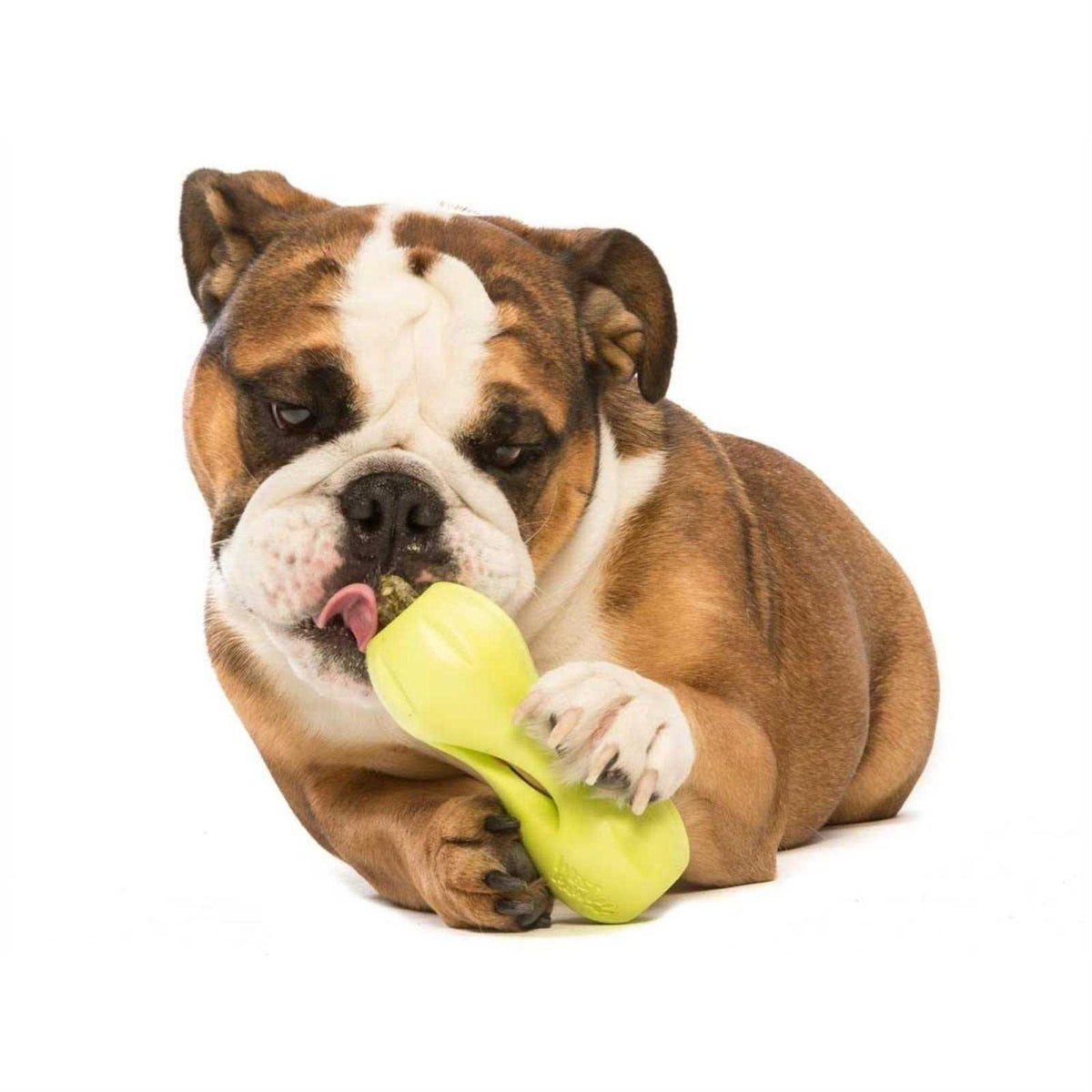 Dog Toy F6000