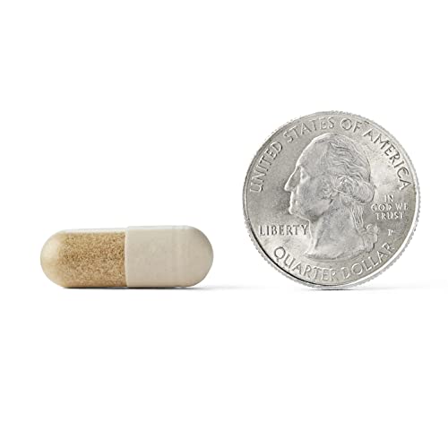 Brain Supplement 30 Capsules L1379