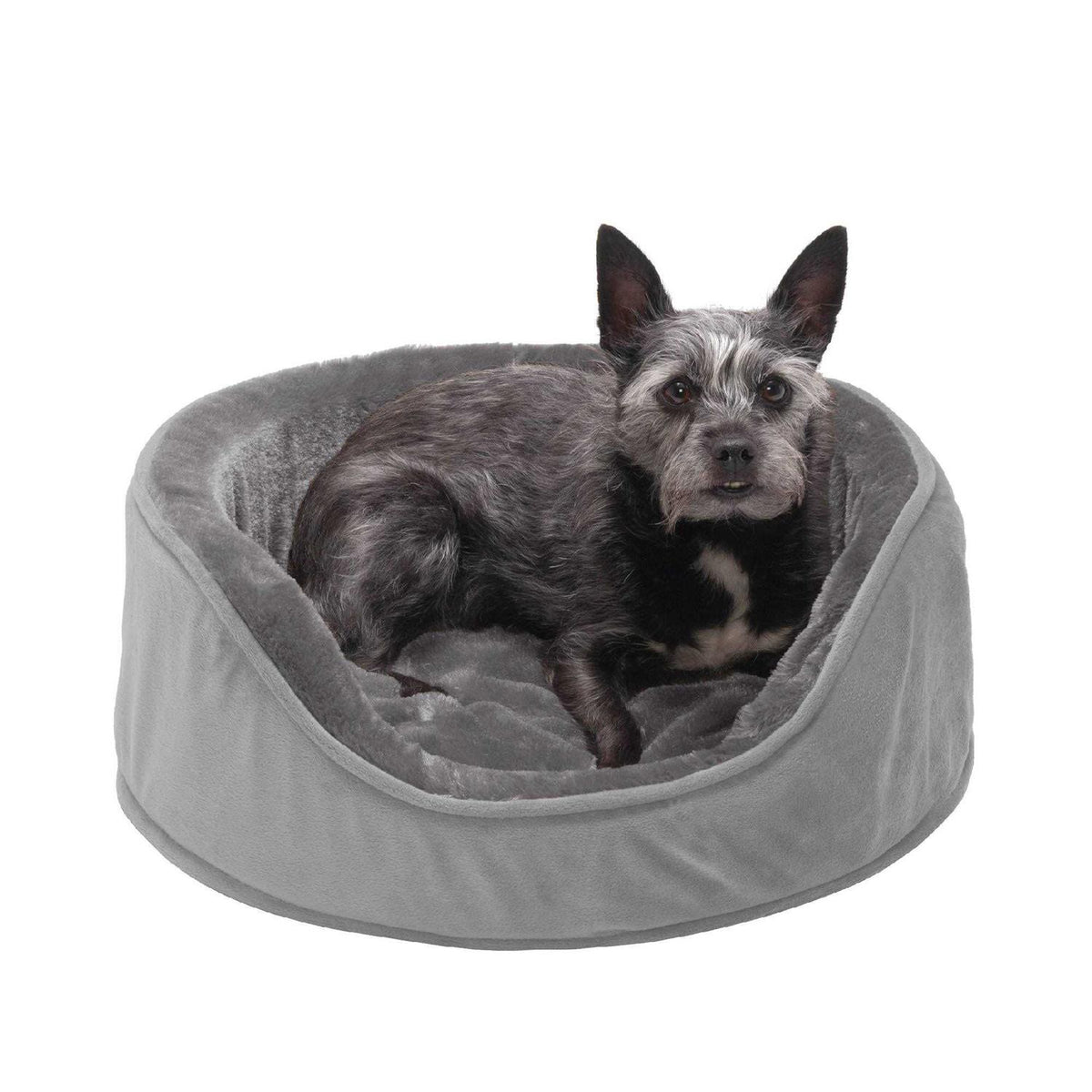 Plush & Velvet Oval Dog Bed D596923