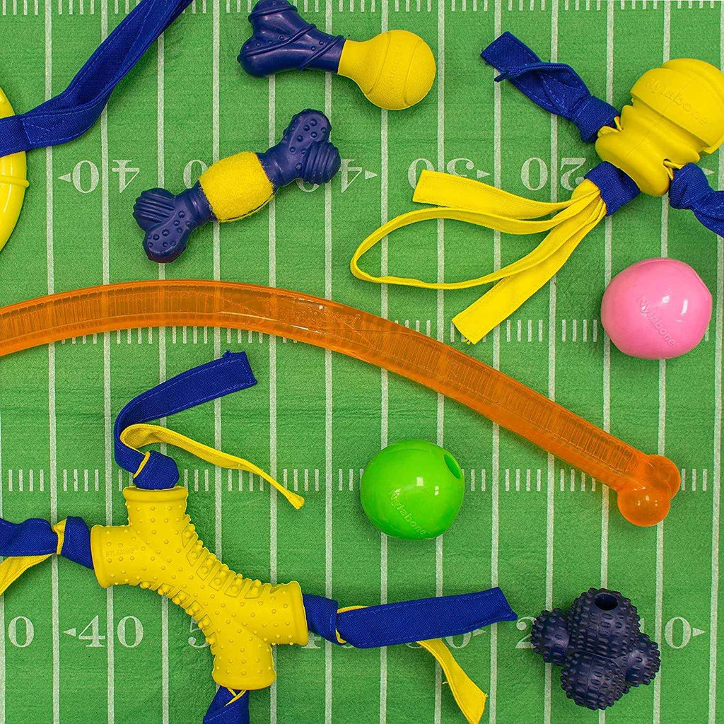 Dog Toy Z721494