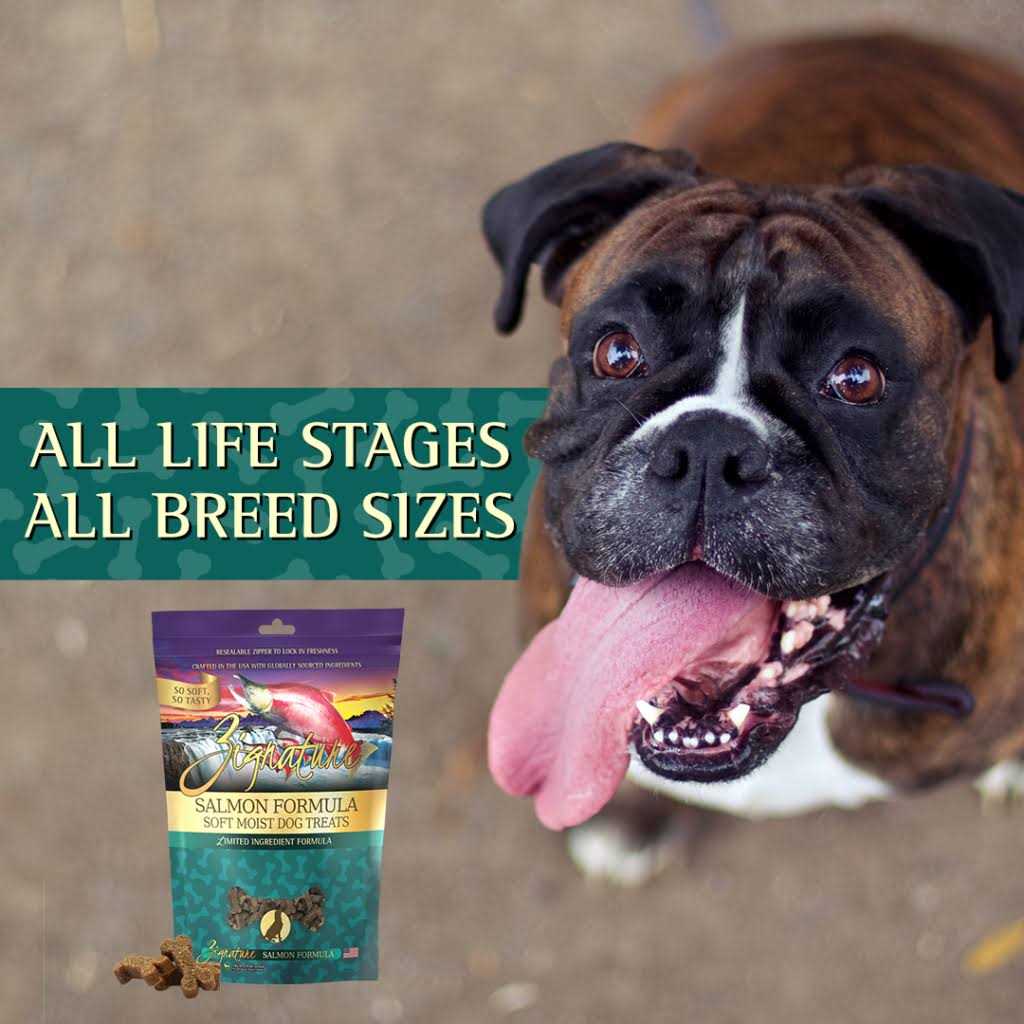 Soft Moist Dog Treats R82271