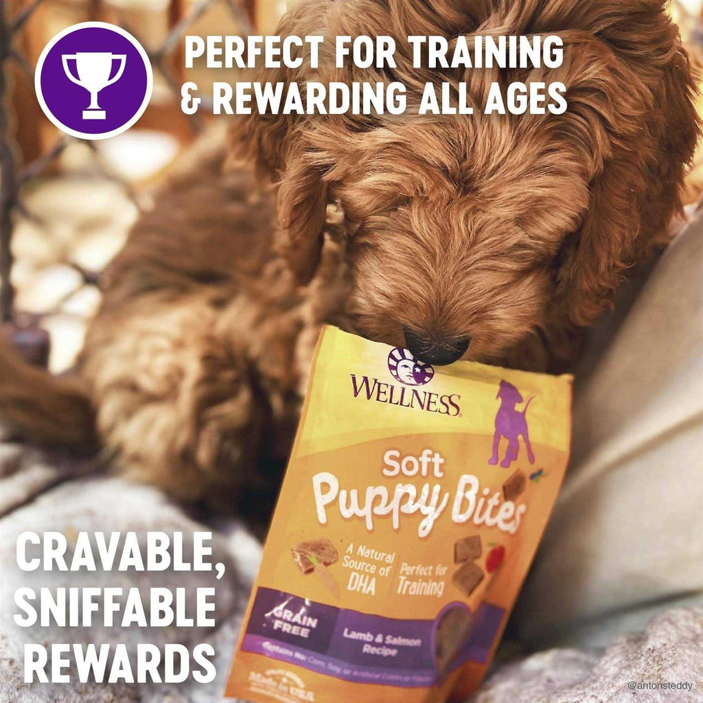 Dog Treats Q31024
