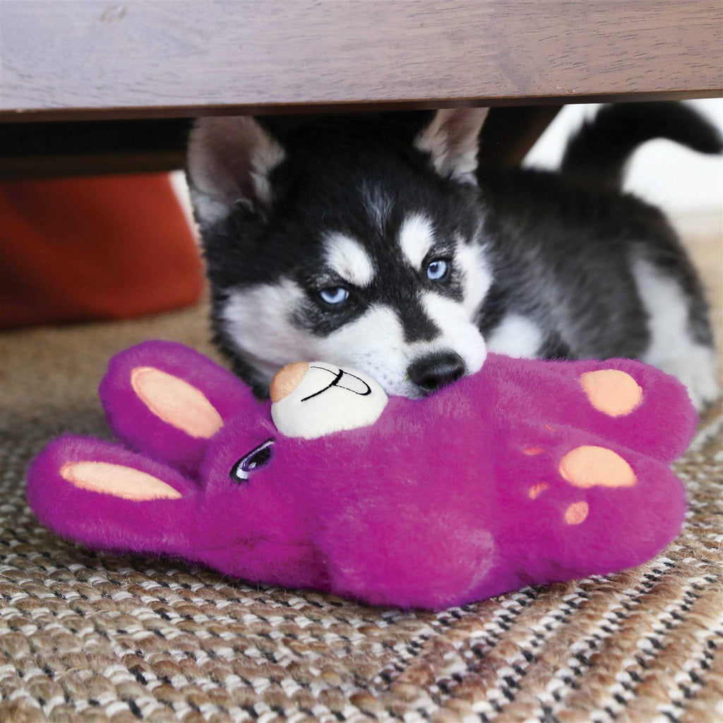 Bear Dog Toy Z505
