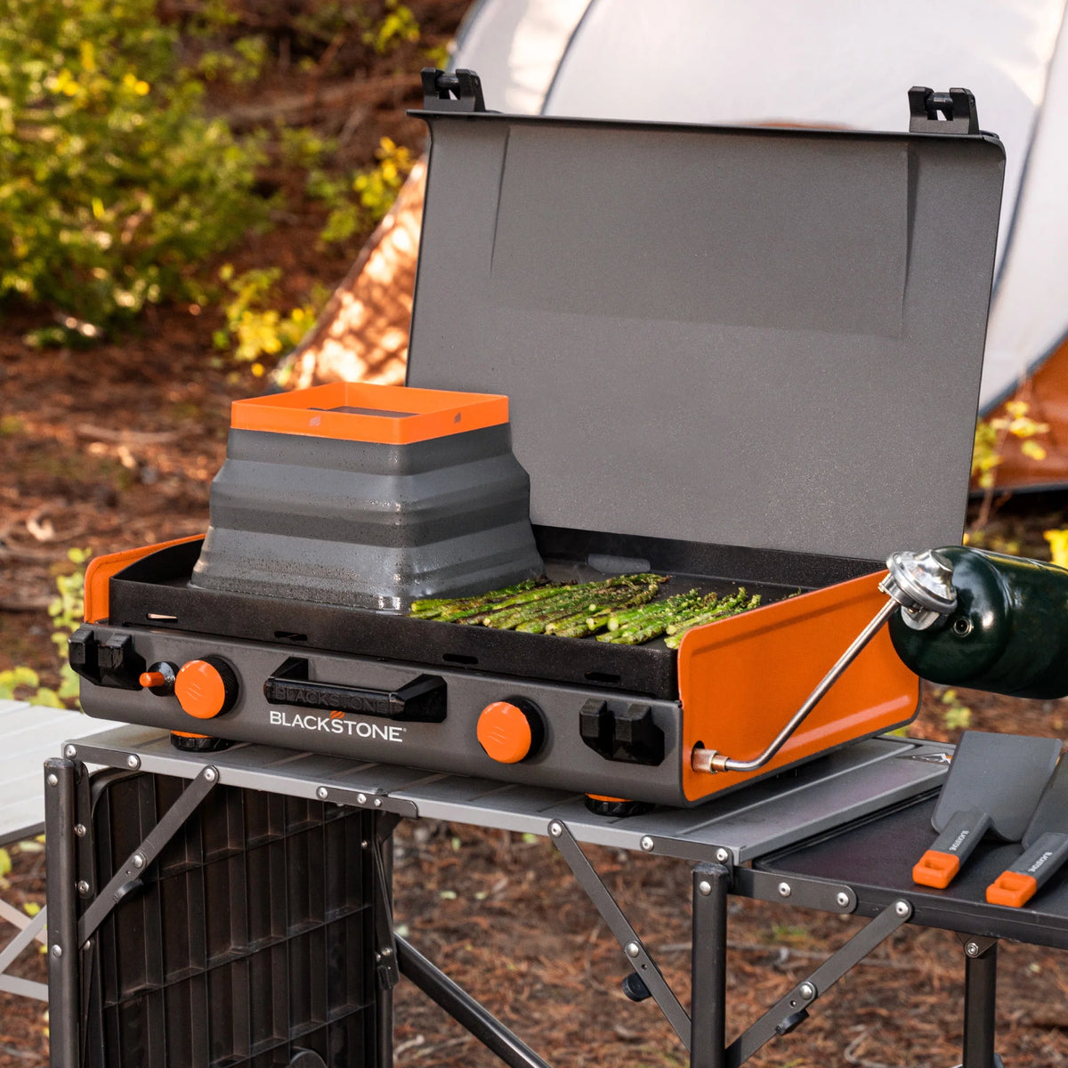 2-Burner Propane Camping Griddle with Hood and Handle P26059