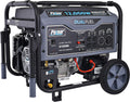 Heavy Duty Portable Dual Fuel Generator, 9500 Rated Watts & 12000 Peak Watts, Gas & LPG, Electric Start E651