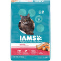 Salmon Adult Dry Cat Food A348151
