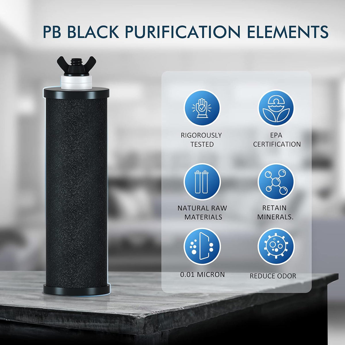 Black Water Purifier Replacement Filters Pack of 2 R18075