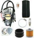 Carburetor Replacement Pack of 2 J55919