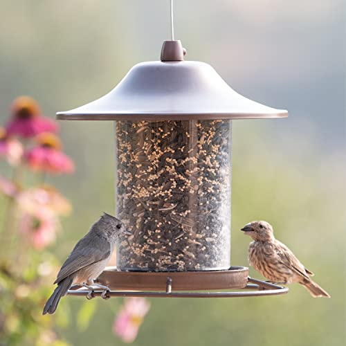 2 Lb Seed Capacity Wild Bird Feeder F9644