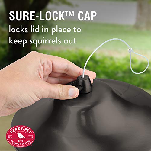 2 Lb Seed Capacity Wild Bird Feeder F9644