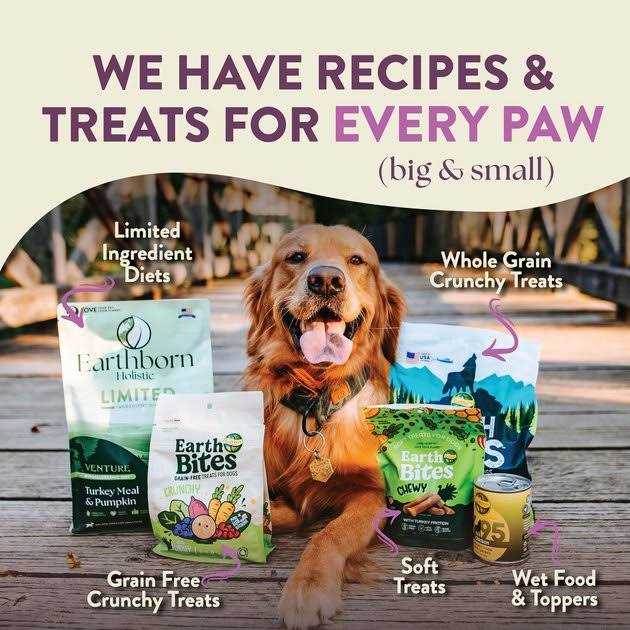 Unrefined Roasted Lamb with Ancient Grains & Superfoods Dry Dog Food N75736
