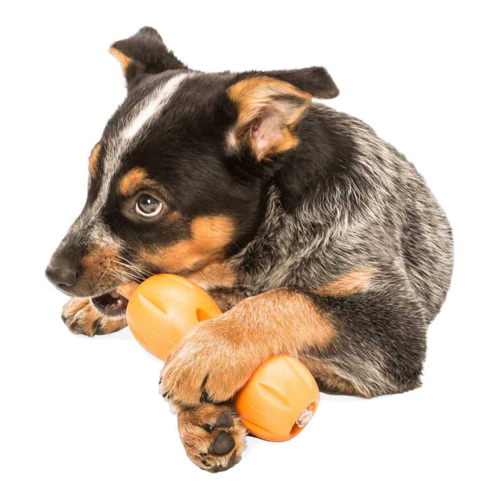 Dog Toy F6000