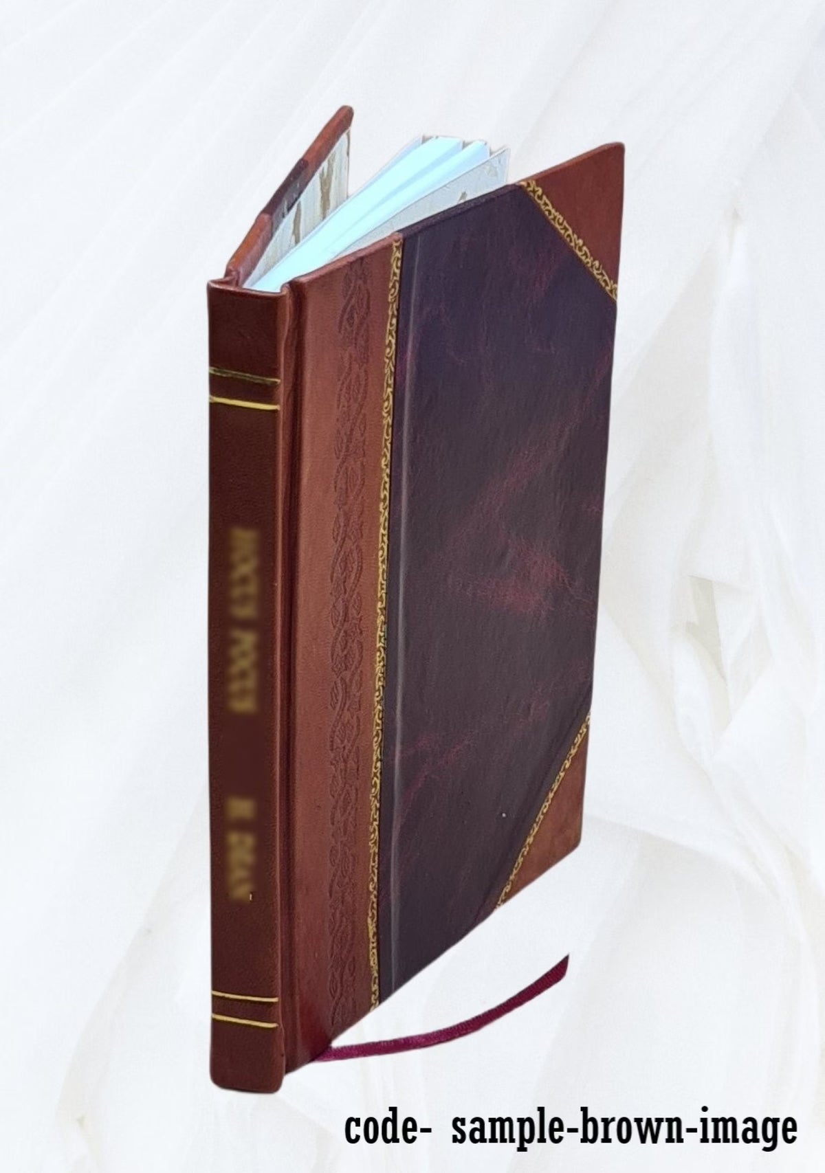 Catalogue of Norse Manuscripts V886