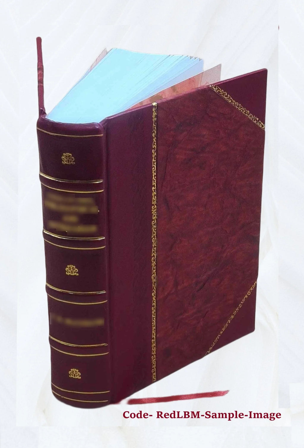 Leather Bound Book A141