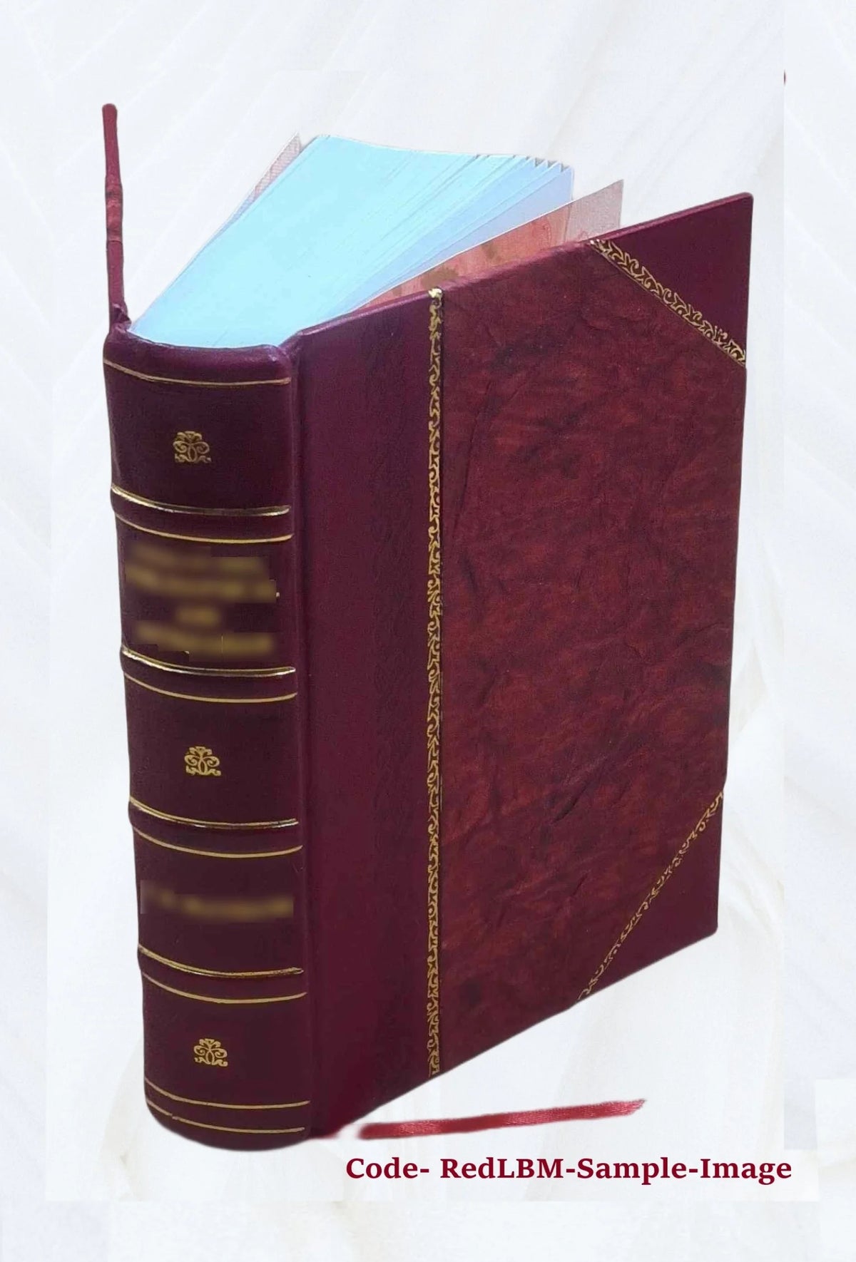 Leather Bound Book A141