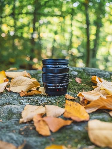 12-45mm F4.0 Weather-Sealed Zoom Lens B520398