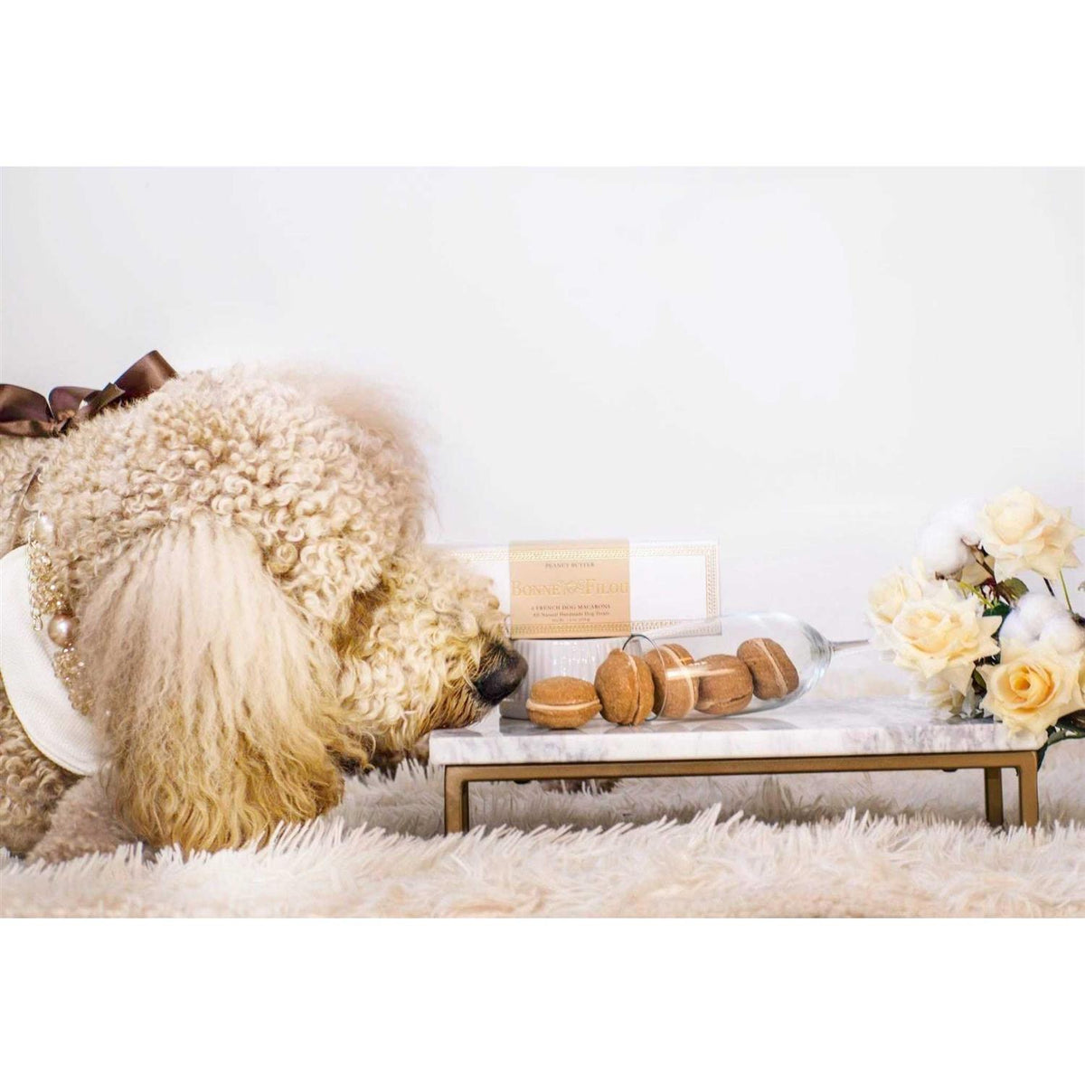 Dog Macarons Z41290