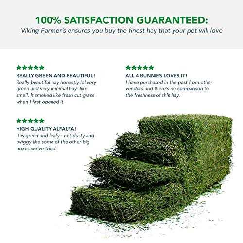 Alfalfa Hay for Rabbits & Small Pets A949