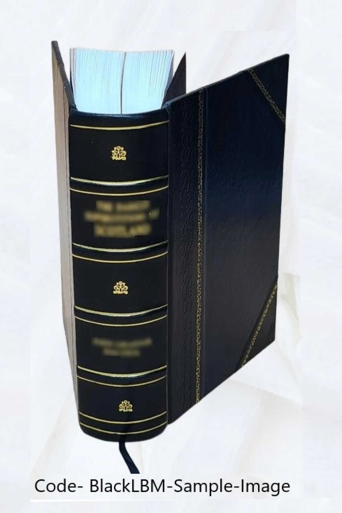 Leather Bound Book A141
