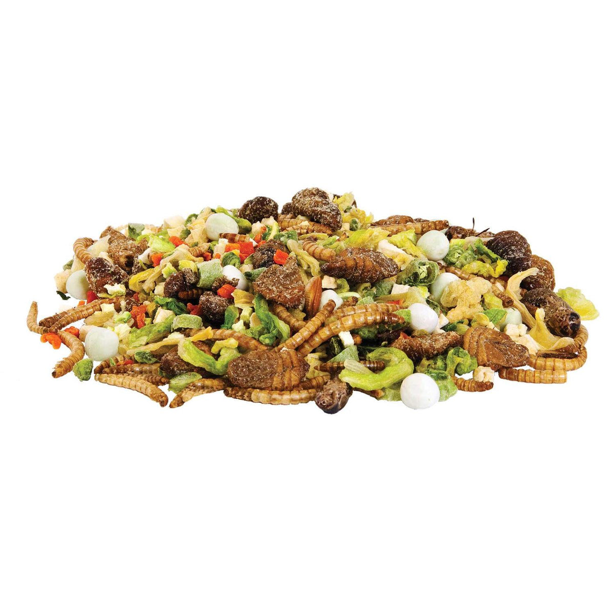 Reptile Omnivore Mix with Calcium Z266581