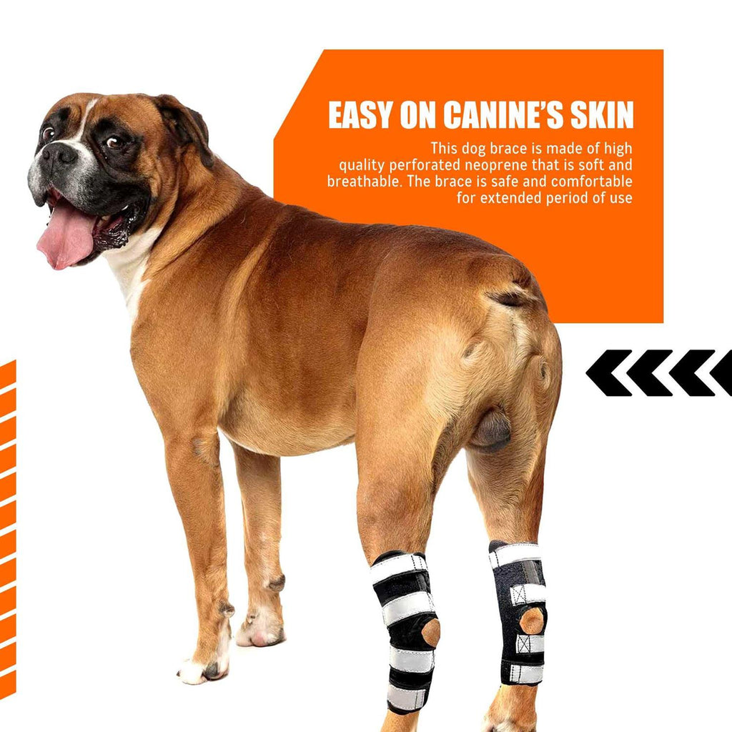 3-in-1 Dog Rear Leg Support Splint Braces R5640