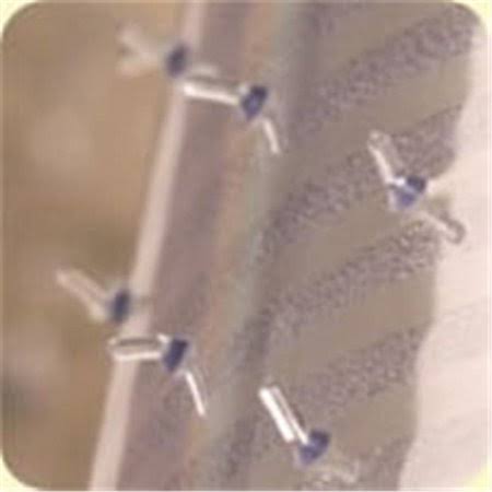 Clear Vinyl Carpet Runner C210768