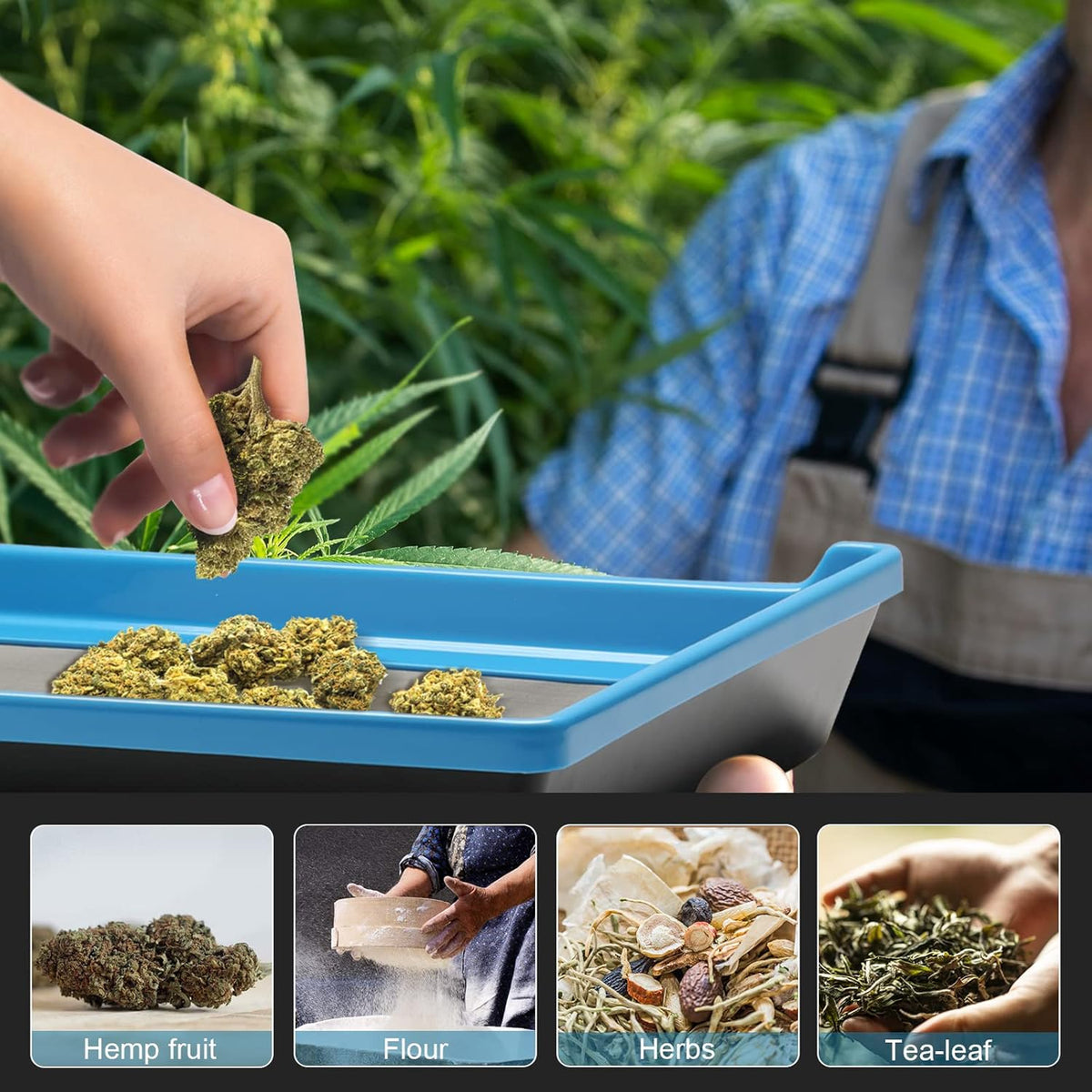 Black & Blue Bud Trimming Tray with 150 Micron Kief Screen, Pack of 2 T40939