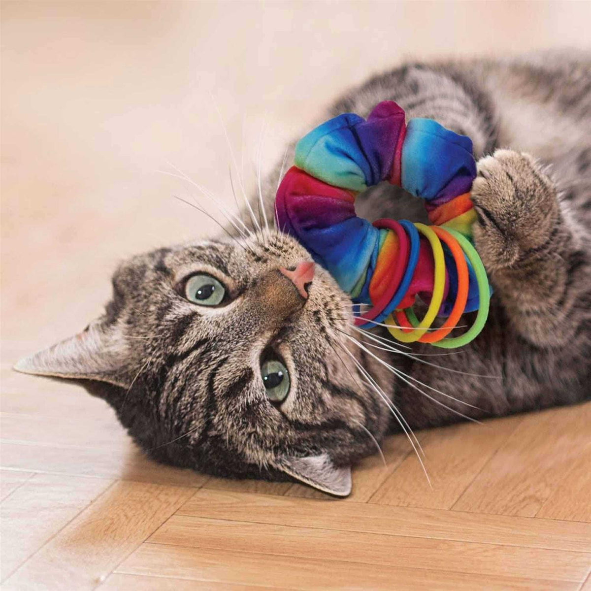 Cat Toy E5027