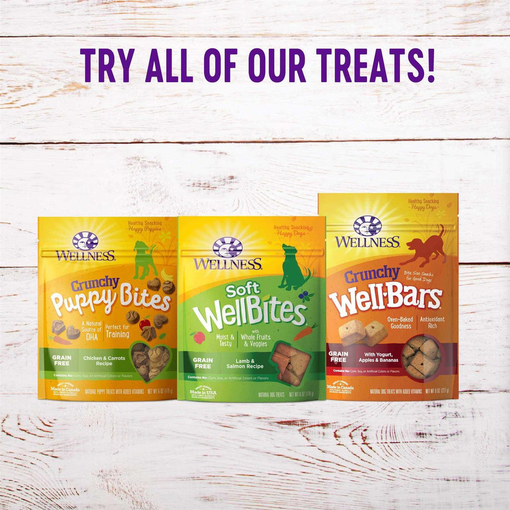 Dog Treats Q31024