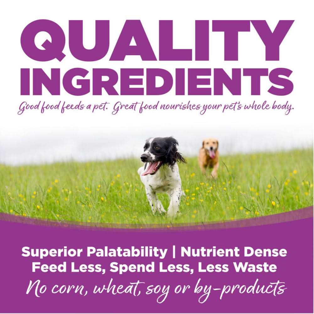 Chicken Rice Large-Breed Puppy Dry Dog Food D916