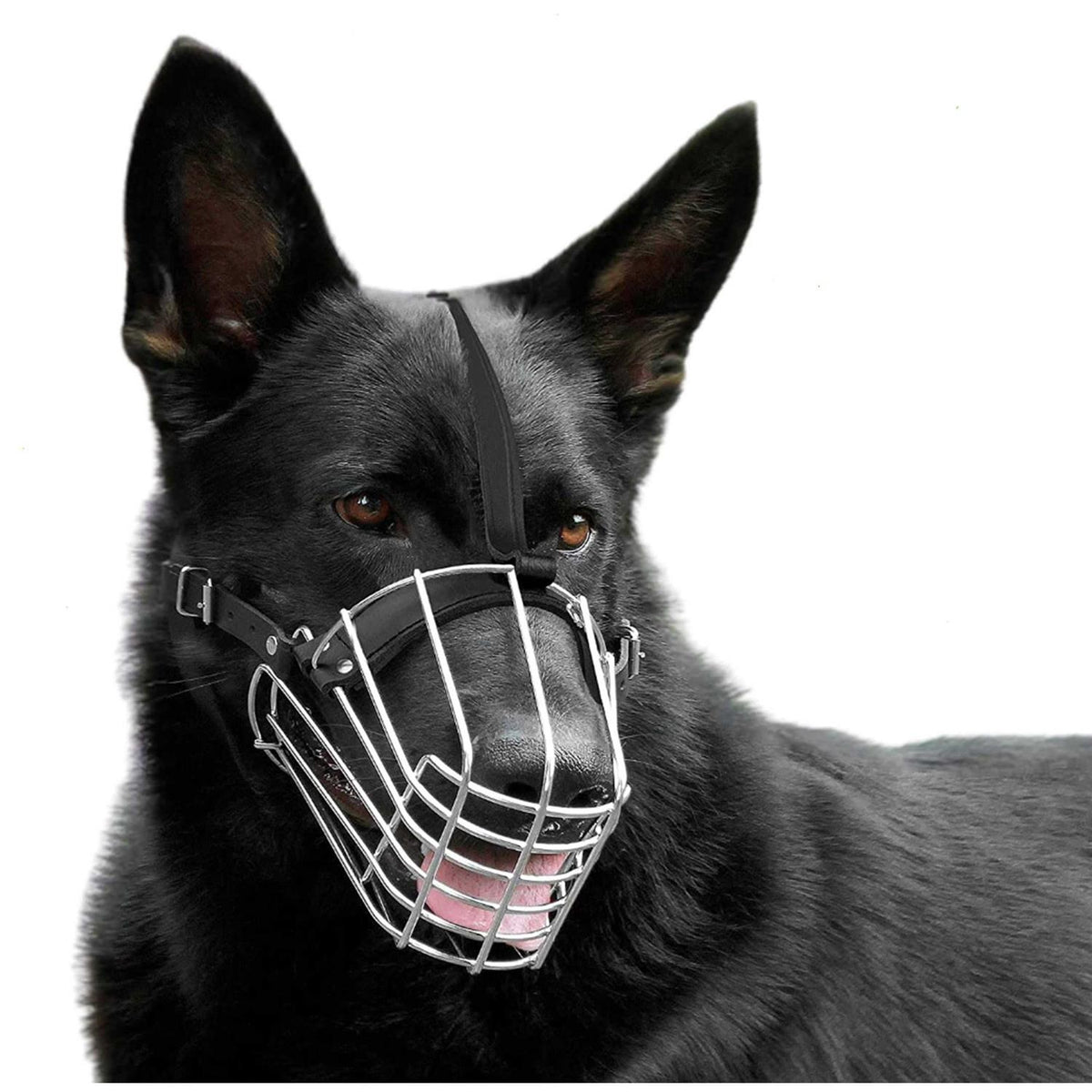 Dog Muzzle Wire Basket J81817