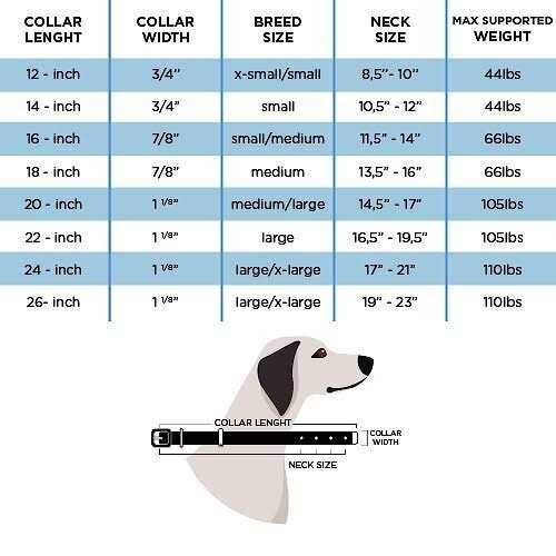 Genuine Embossed Italian Leather Dog Collar T868732