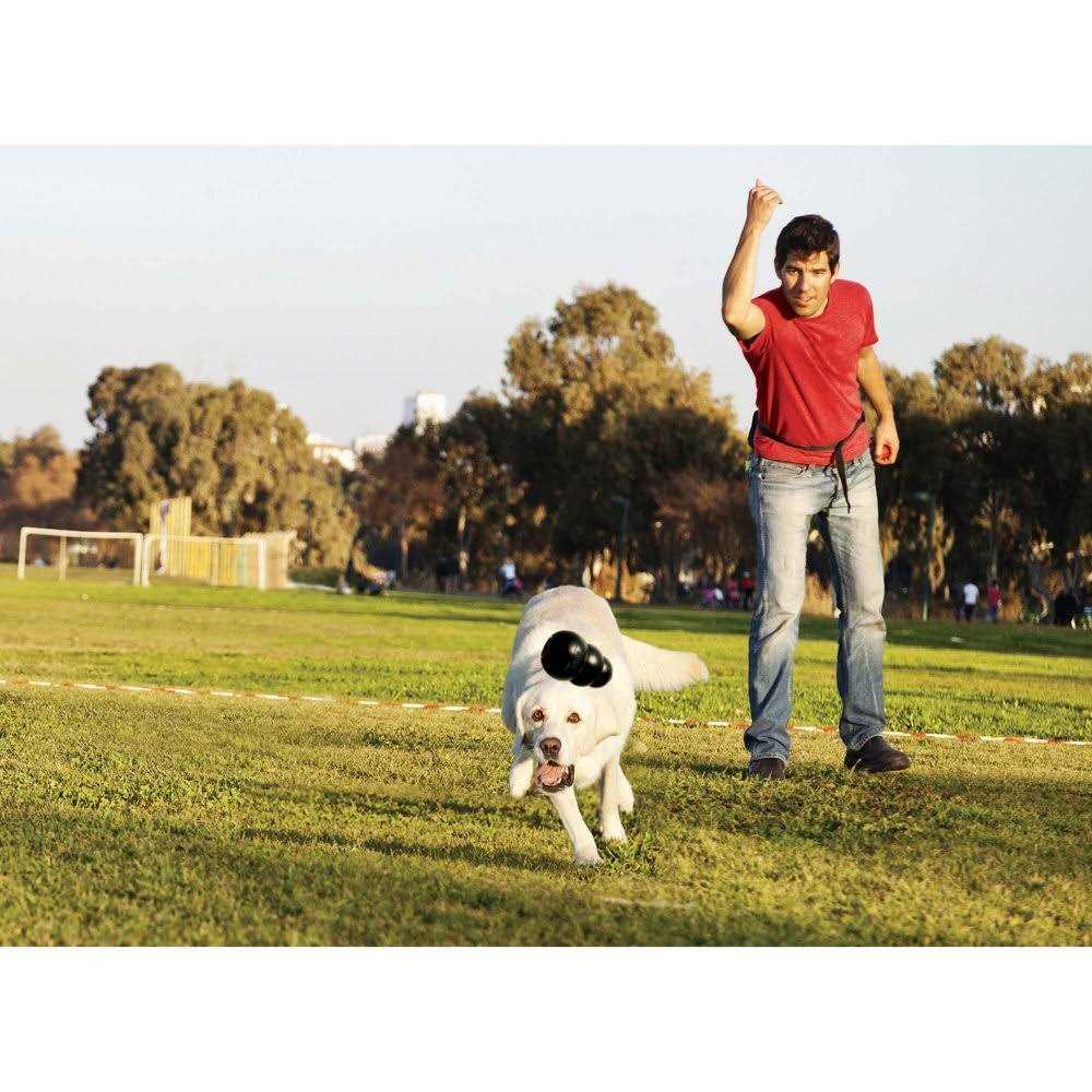 KONG Dog Toy V33546