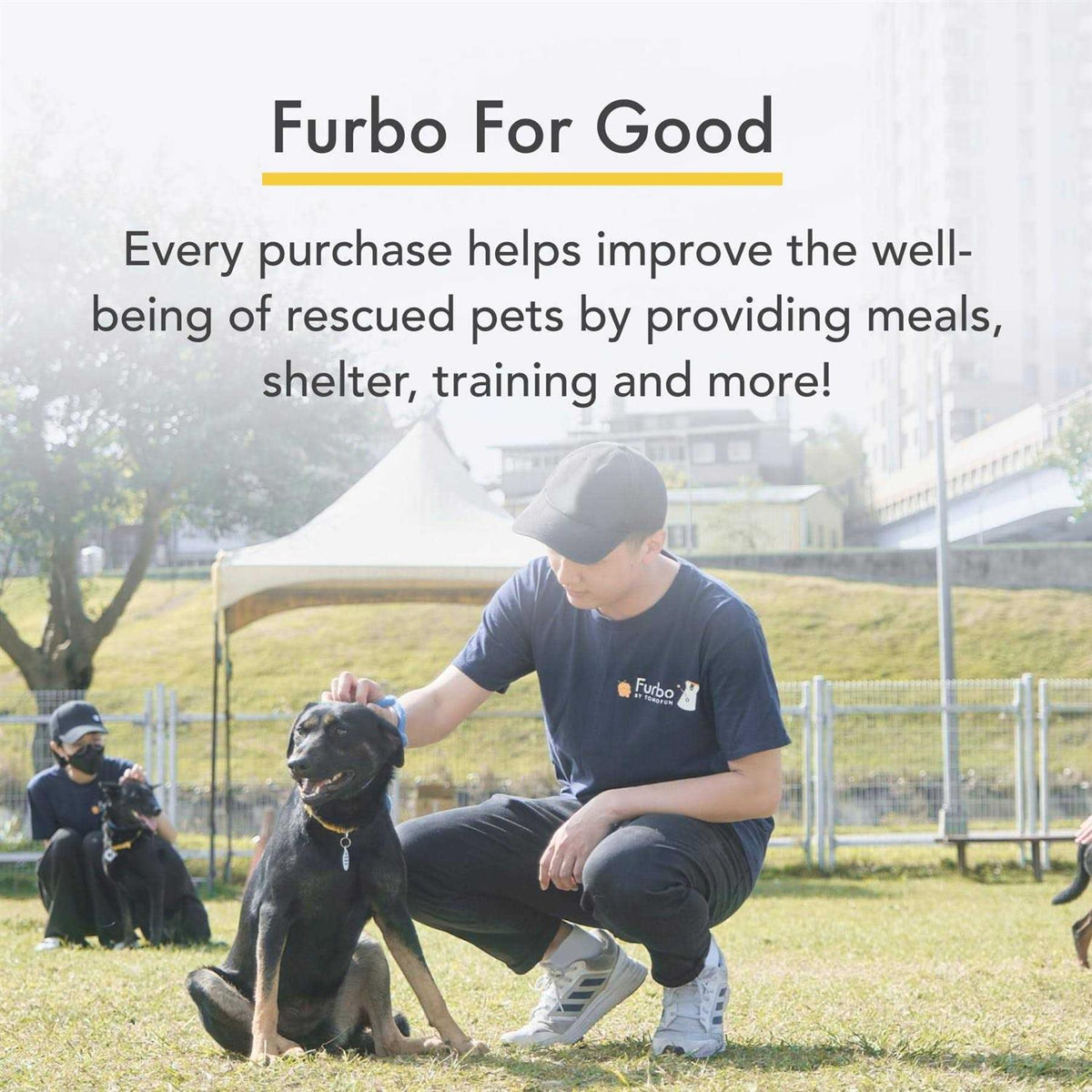 360° Dog Camera Z8544