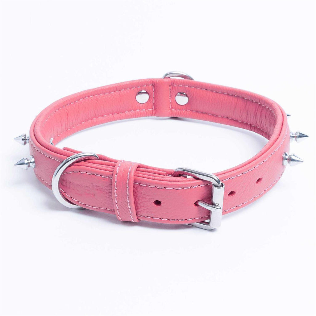 Dog Collar D463833